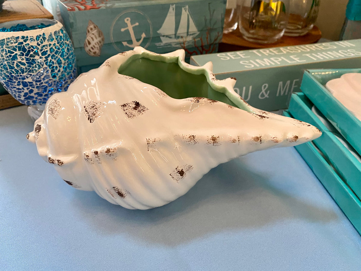 Conch Seashell Ceramic Planter 