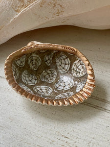 Small Decoupaged Seashell Trinket Dish