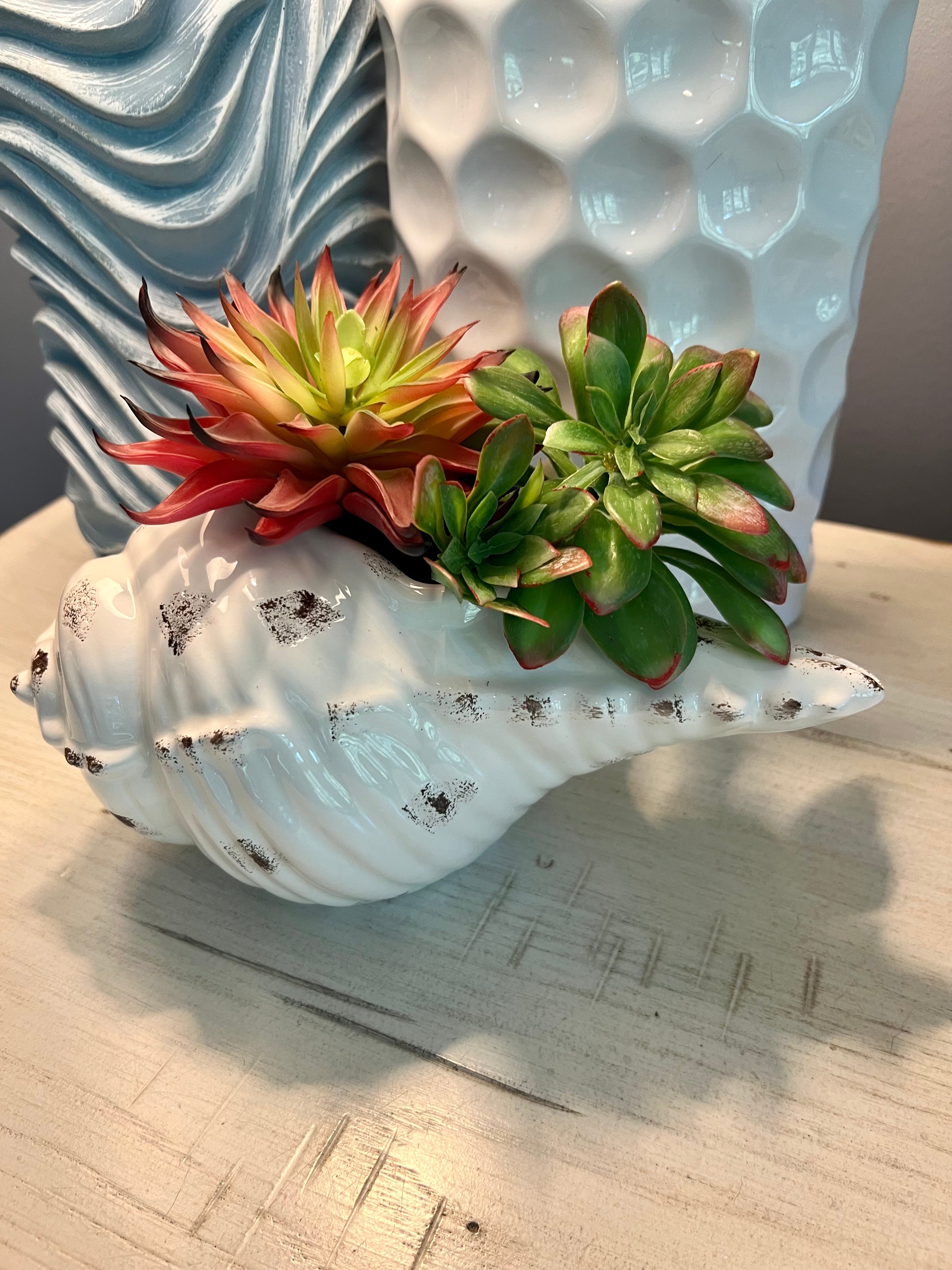 Ceramic Conch Shell Planter