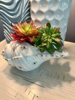 Load image into Gallery viewer, Ceramic Conch Shell Planter
